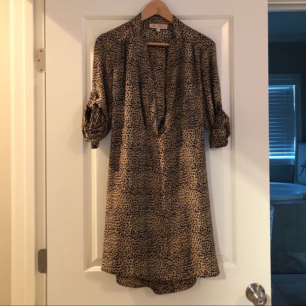Mara Hoffman Cheetah Print Silk Dress
